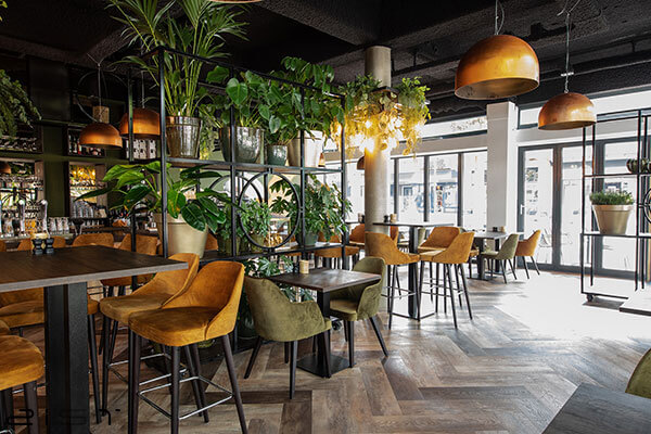 کافیشاپ جنگلی