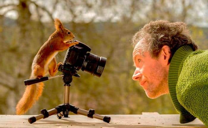 عکاسی جیات وحش چیست؟