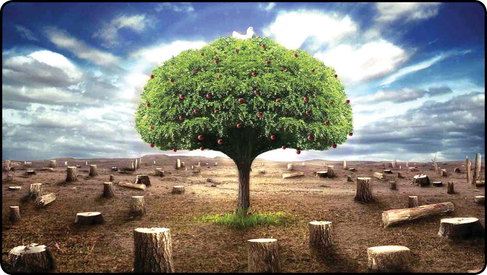 شرکت حفاظت از درختان