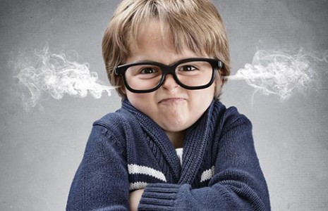 شغل متفاوت یک گربه