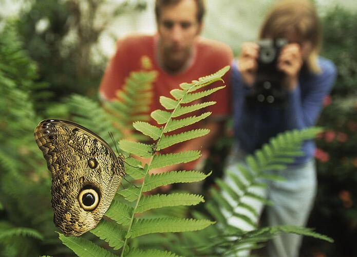 گردشگری اکوتوریسم