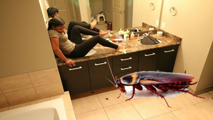 ربات گیرنده سوسک