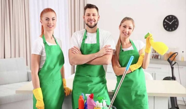 اینفلوئنسر های تمیز کاری 