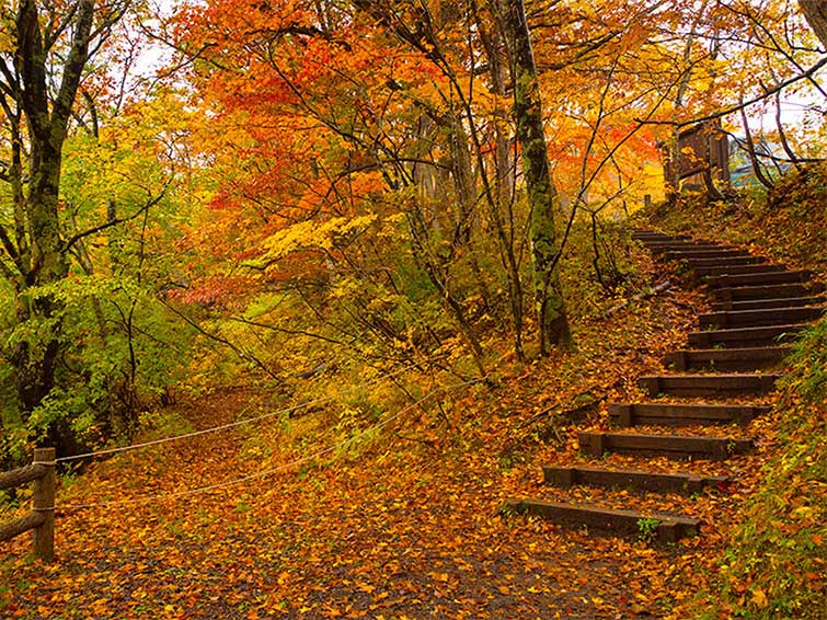 تم فصل و فضای عکاسی