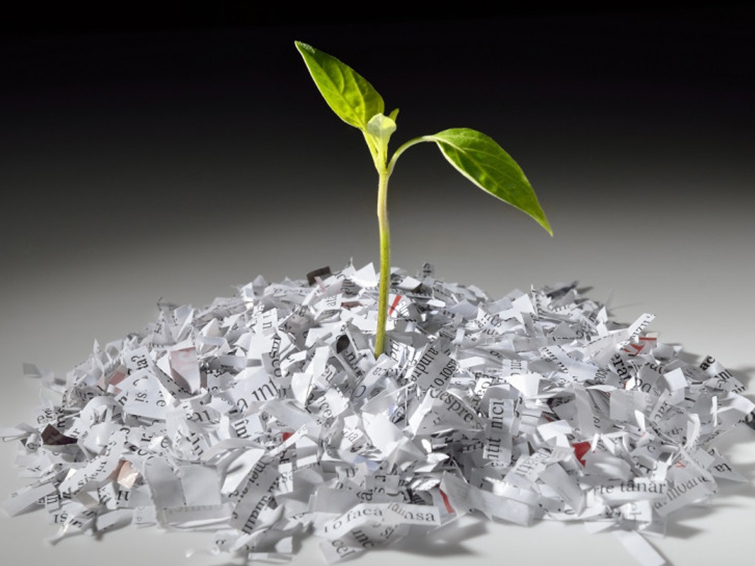 تبدیل کاغذ باطله به کاغذ سفید