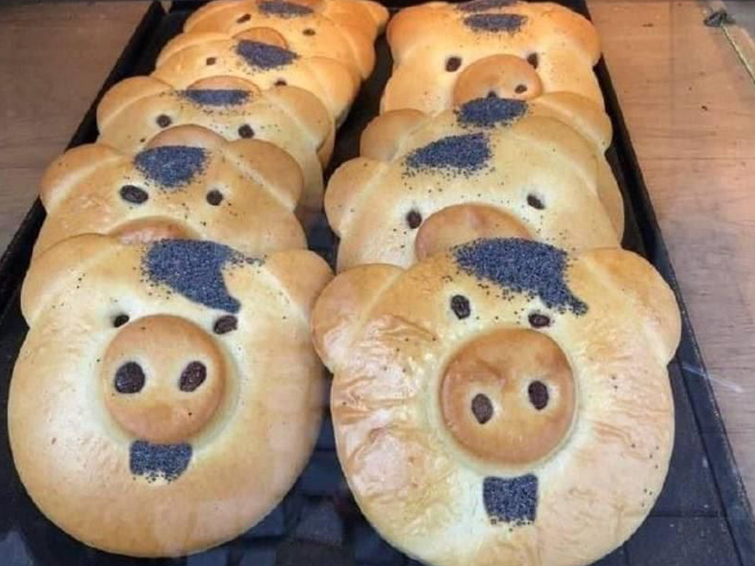 خوک خوش شانس