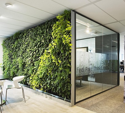 تولید دیوار های زنده