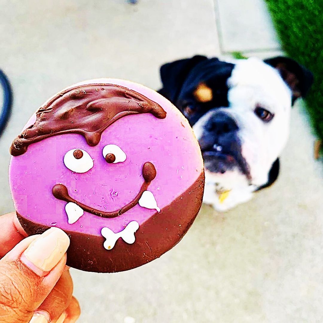 شیرینی فروشی مخصوص حیوانات