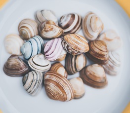 نقاشی روی صدف ایده هنری و خلاقانه