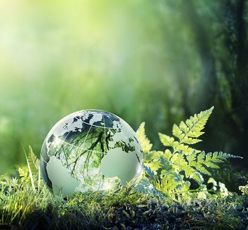 شرکت مشاوره‌ی سبز