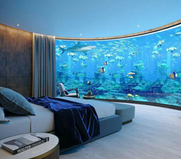 آکواریوم های جالب در طراحی خانه