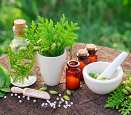 تولید گیاهان دارویی 